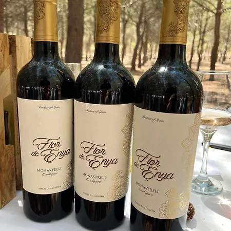 Appartement Apartmento Carla Punta Prima