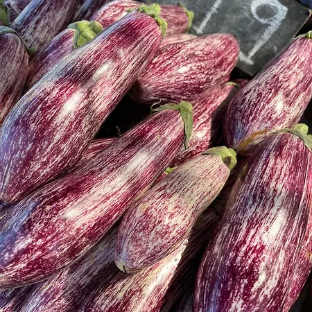 Apartmento Carla Punta Prima *