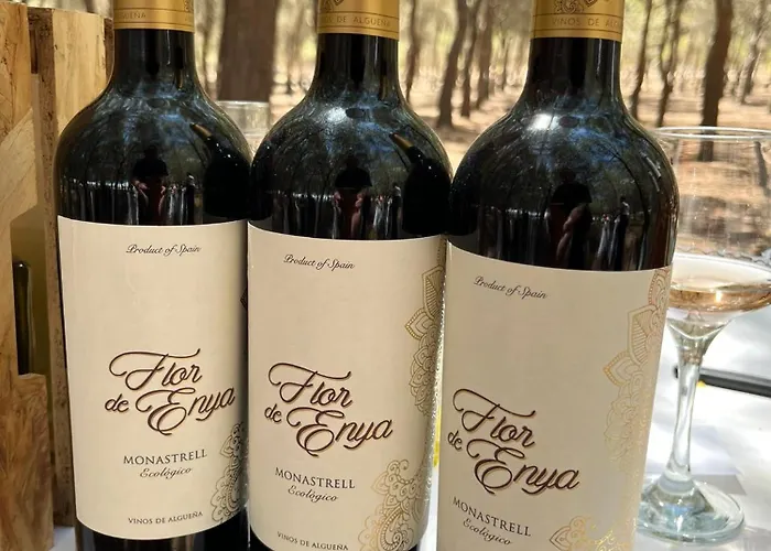 Appartement Apartmento Carla Punta Prima