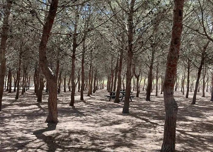 Appartement Apartmento Carla Punta Prima Torrevieja