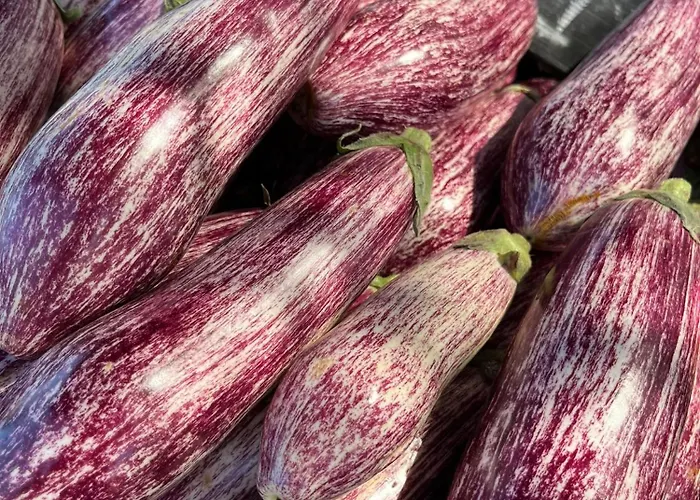 Apartmento Carla Punta Prima *