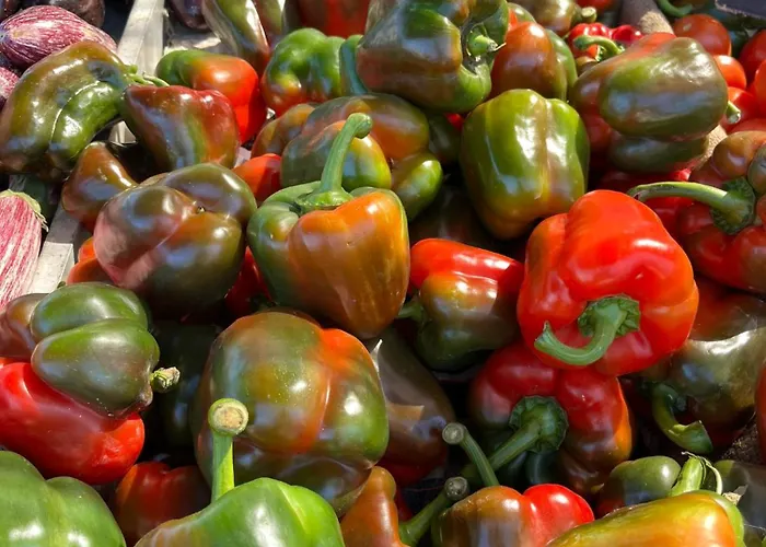 Apartmento Carla Punta Prima Torrevieja