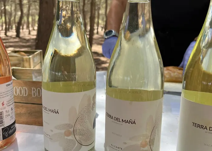 Appartement Apartmento Carla Punta Prima *