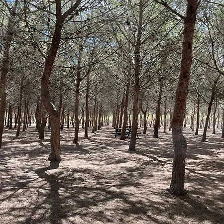 Apartman Apartmento Carla Punta Prima Torrevieja