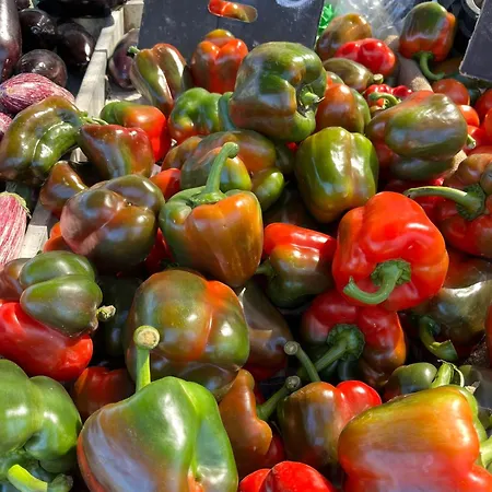 Apartmento Carla Punta Prima Torrevieja