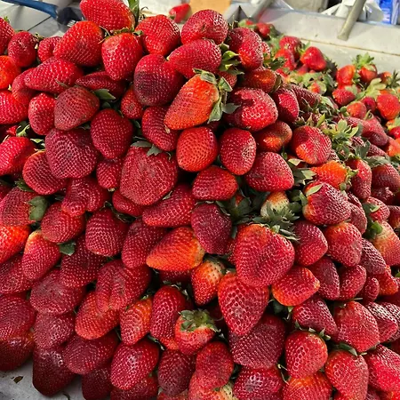 Apartman Apartmento Carla Punta Prima