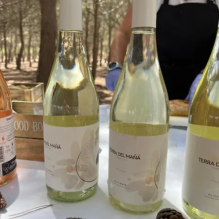 Apartman Apartmento Carla Punta Prima *