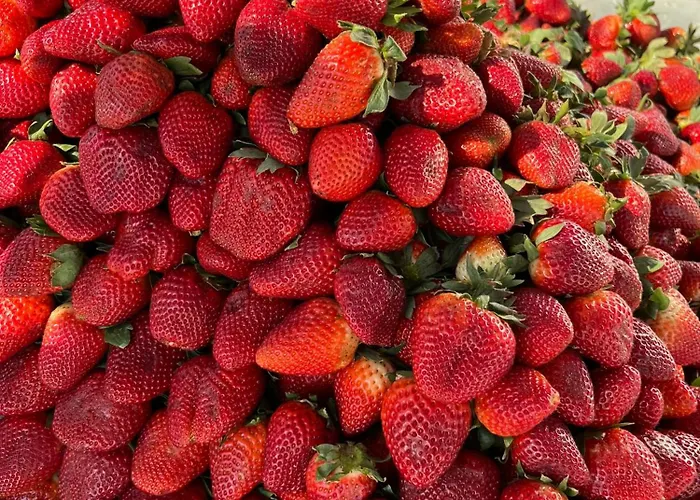 Apartment Apartmento Carla Punta Prima